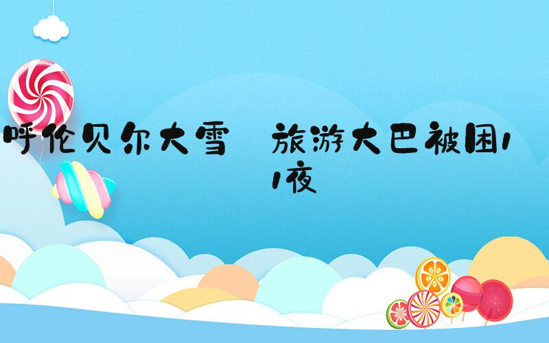 呼伦贝尔大雪 旅游大巴被困1天1夜